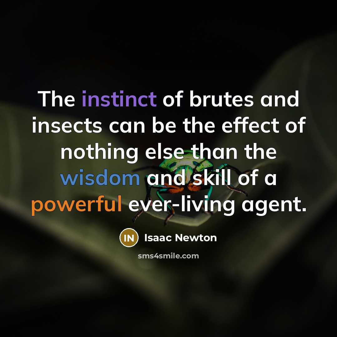 “The instinct of brutes and insects can be the effect…” quote by Isaac Newton