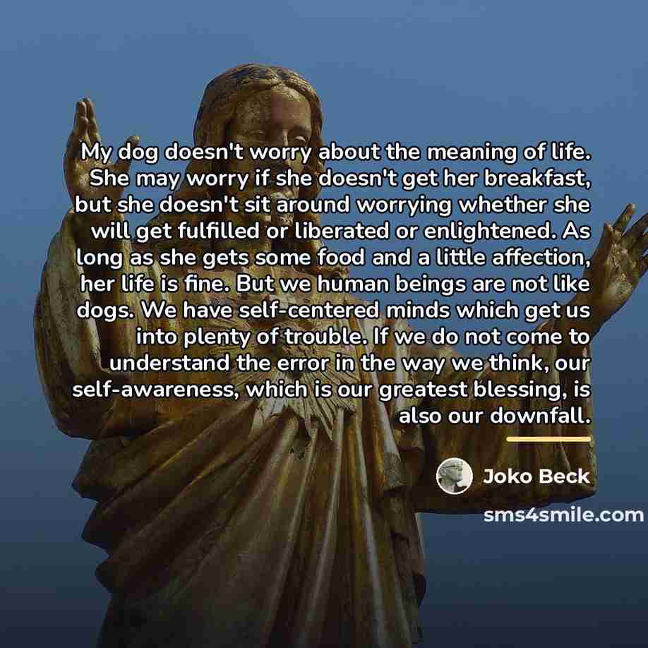 “My dog doesn't worry about the meaning of life. She…” quote by Joko Beck
