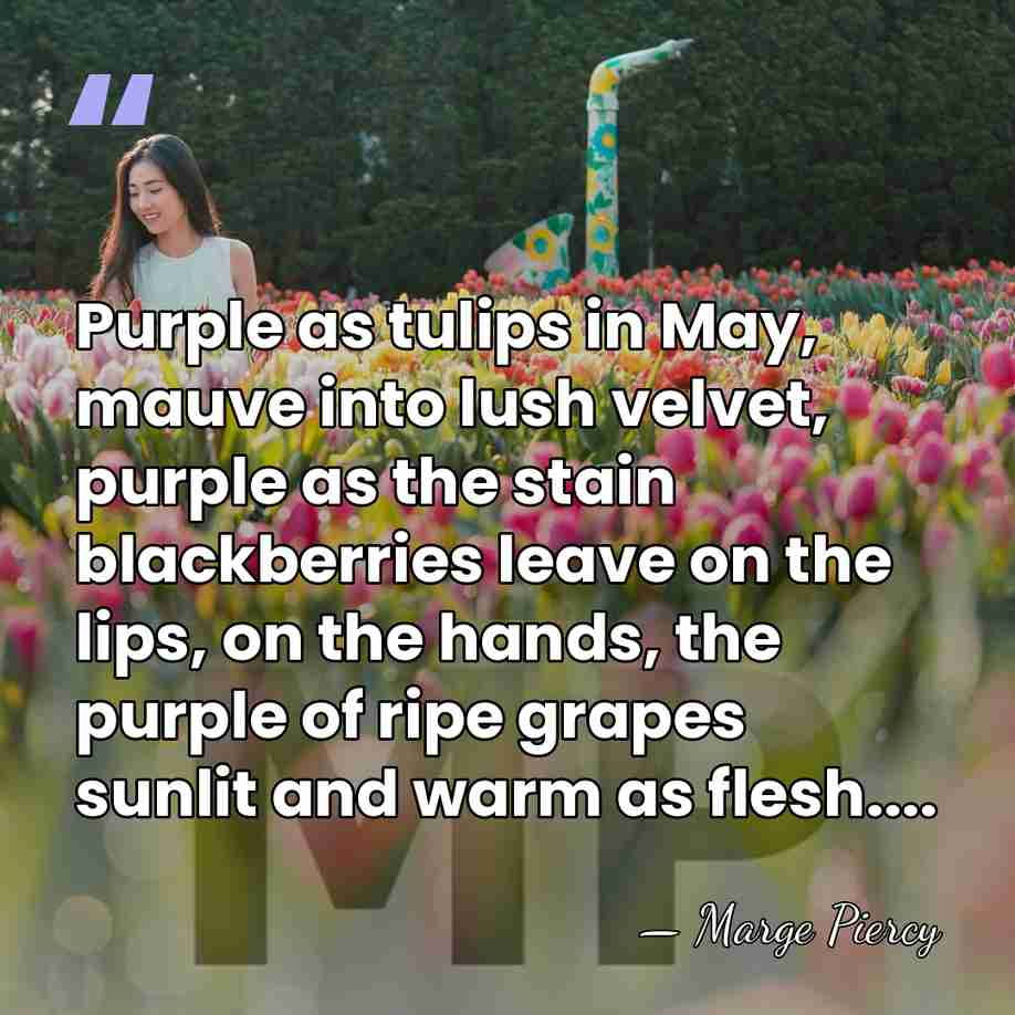 Purple as tulips in May, mauve into lush velvet, purple as the&hellip; - Marge Piercy