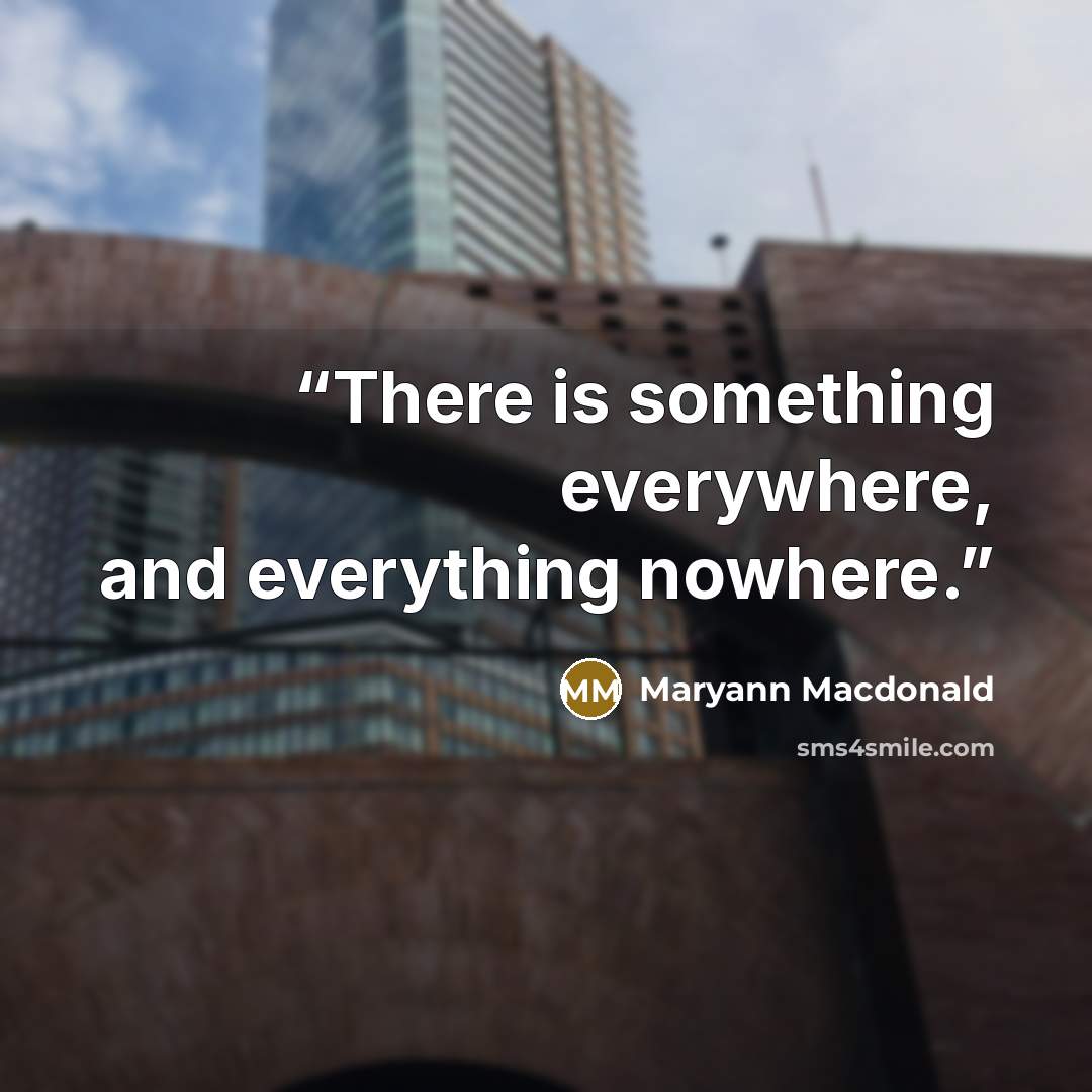 “There is something everywhere, and everything nowhere.” quote by Maryann Macdonald