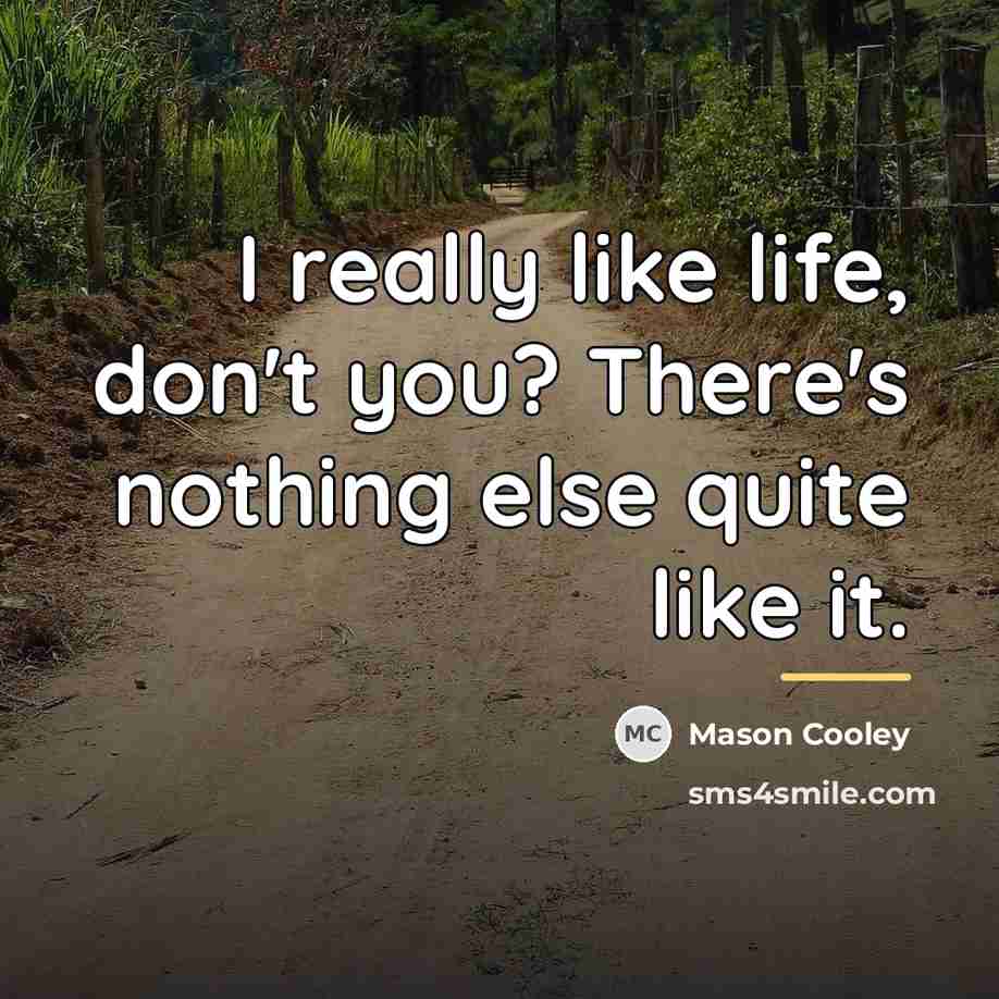 “I really like life, don't you? There's nothing else quite…” quote by Mason Cooley