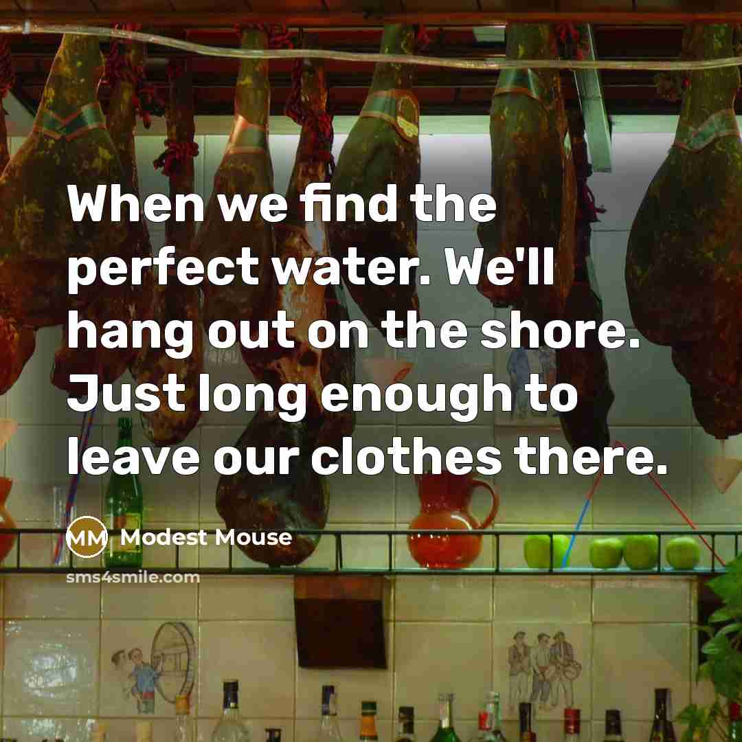 “When we find the perfect water. We'll hang out on the shore. Just long enough to leave our clothes there.” quote by Modest Mouse