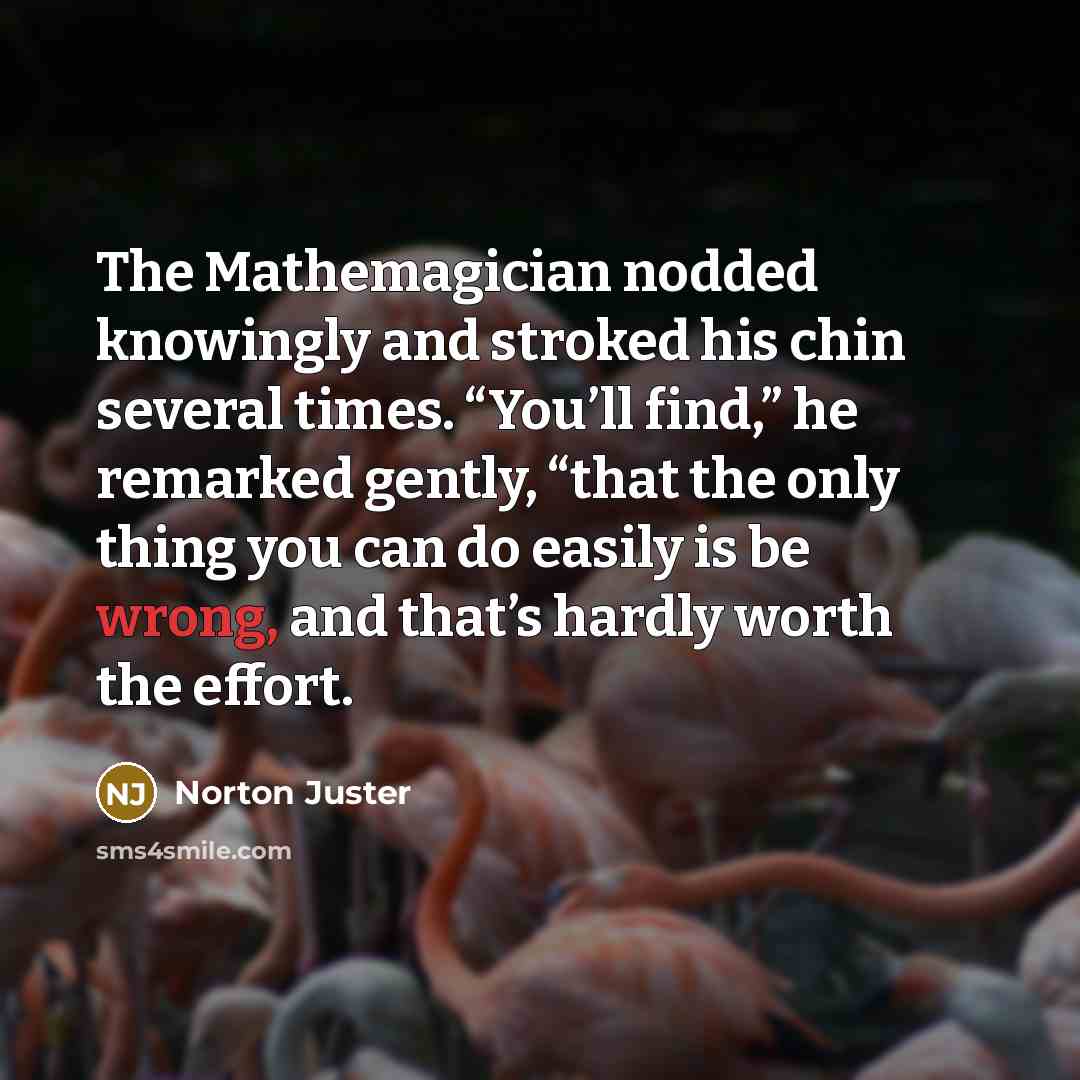 “The Mathemagician nodded knowingly and stroked his chin several times.…” quote by Norton Juster