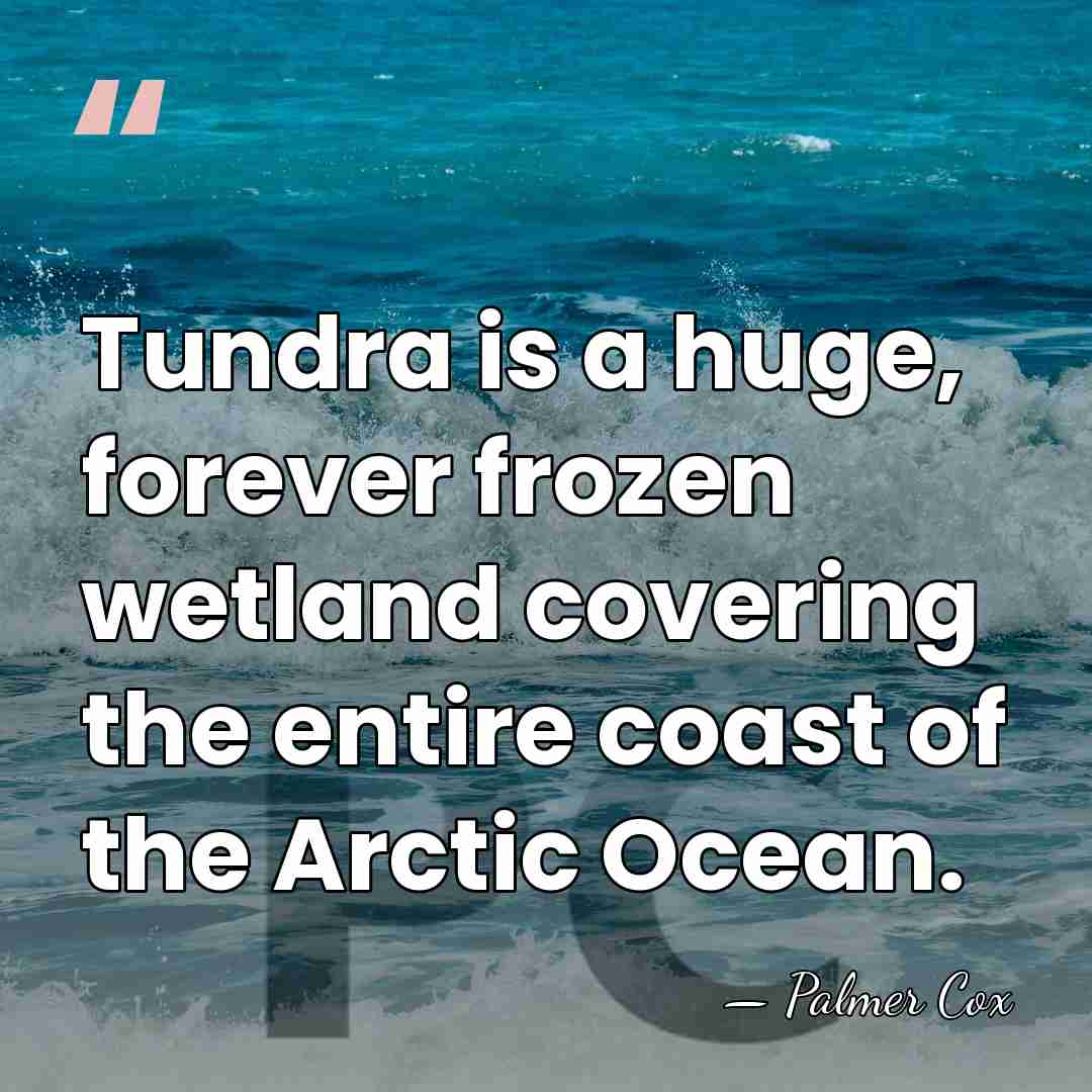 Tundra is a huge, forever frozen wetland covering the entire coast of&hellip; - Palmer Cox