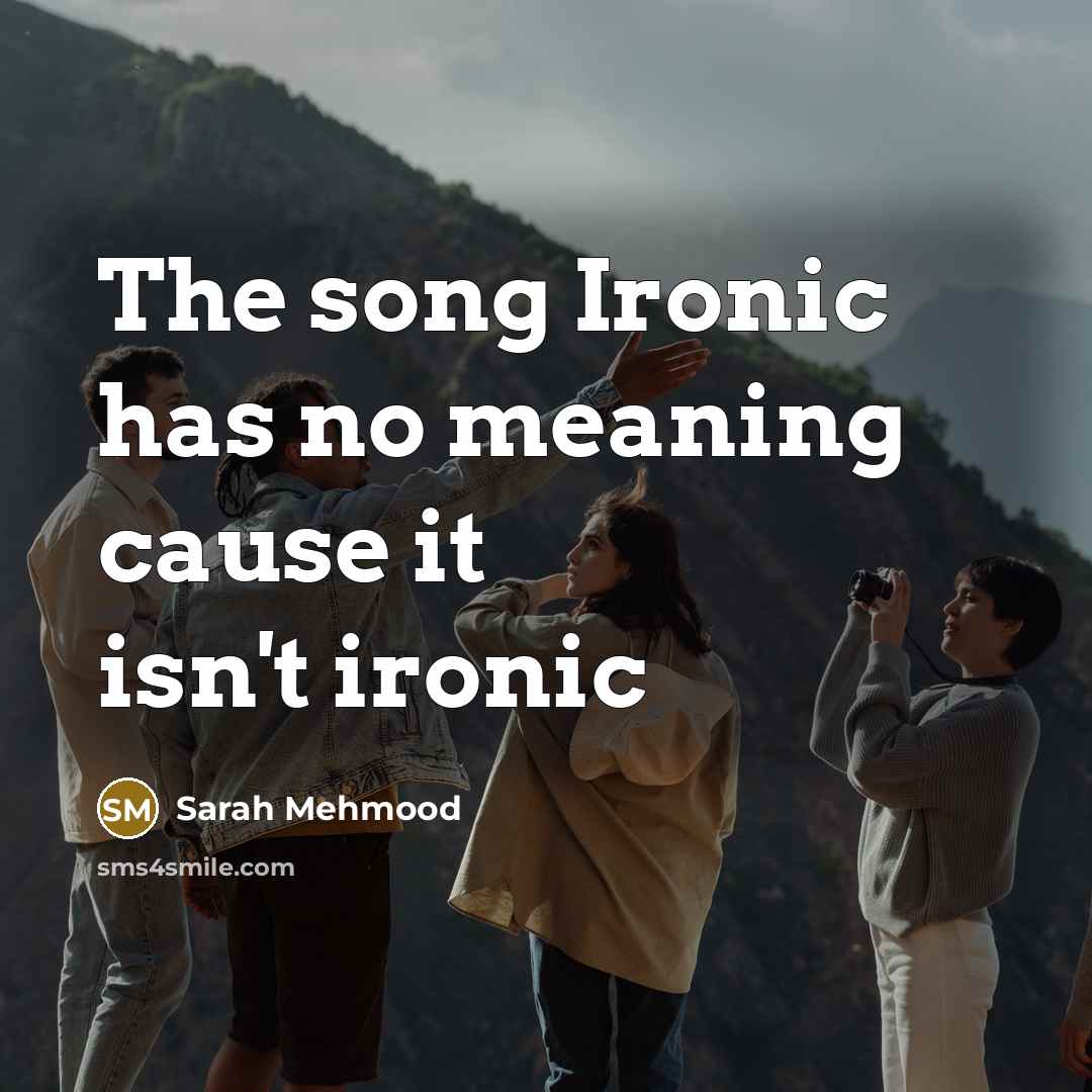 “The song Ironic has no meaning cause it isn't ironic” quote by Sarah Mehmood