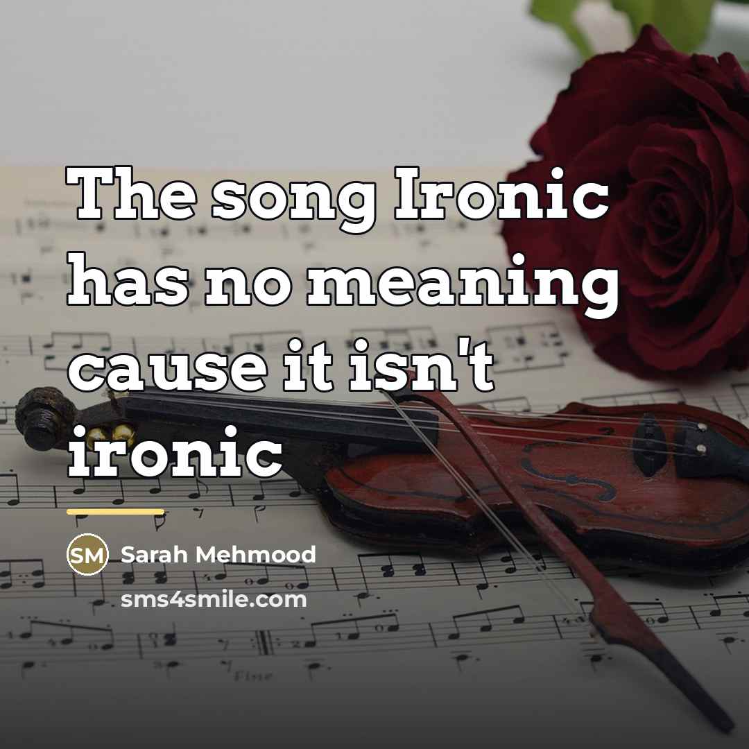 “The song Ironic has no meaning cause it isn't ironic…” quote by Sarah Mehmood
