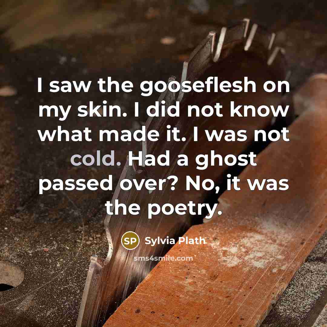 “I saw the gooseflesh on my skin. I did not…” quote by Sylvia Plath