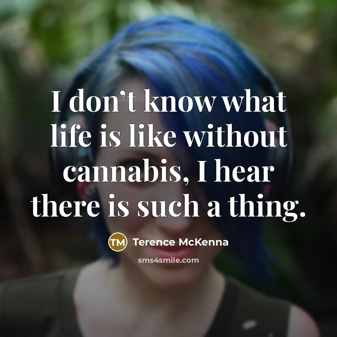 “I don’t know what life is like without cannabis, I…” quote by Terence McKenna