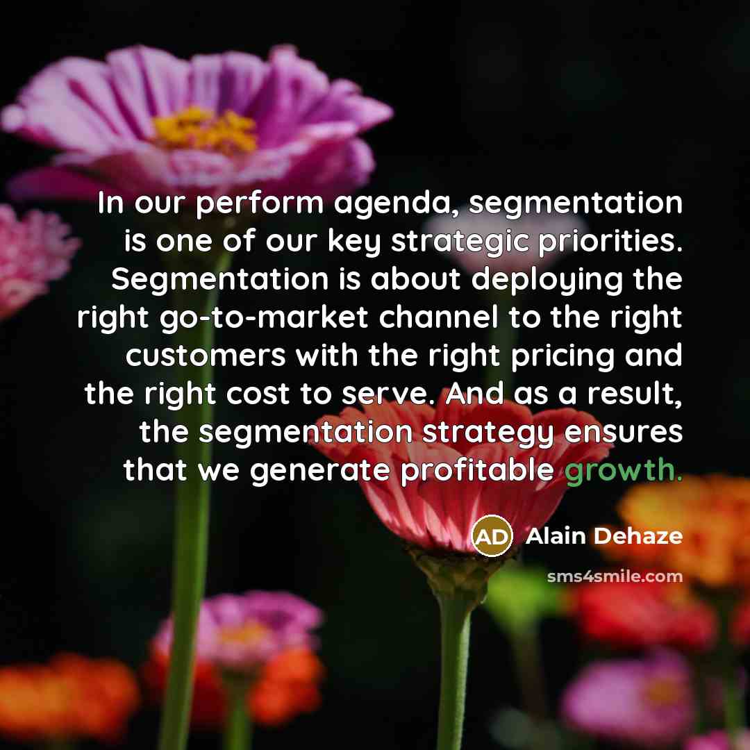 “In our perform agenda, segmentation is one of our key…” quote by Alain Dehaze
