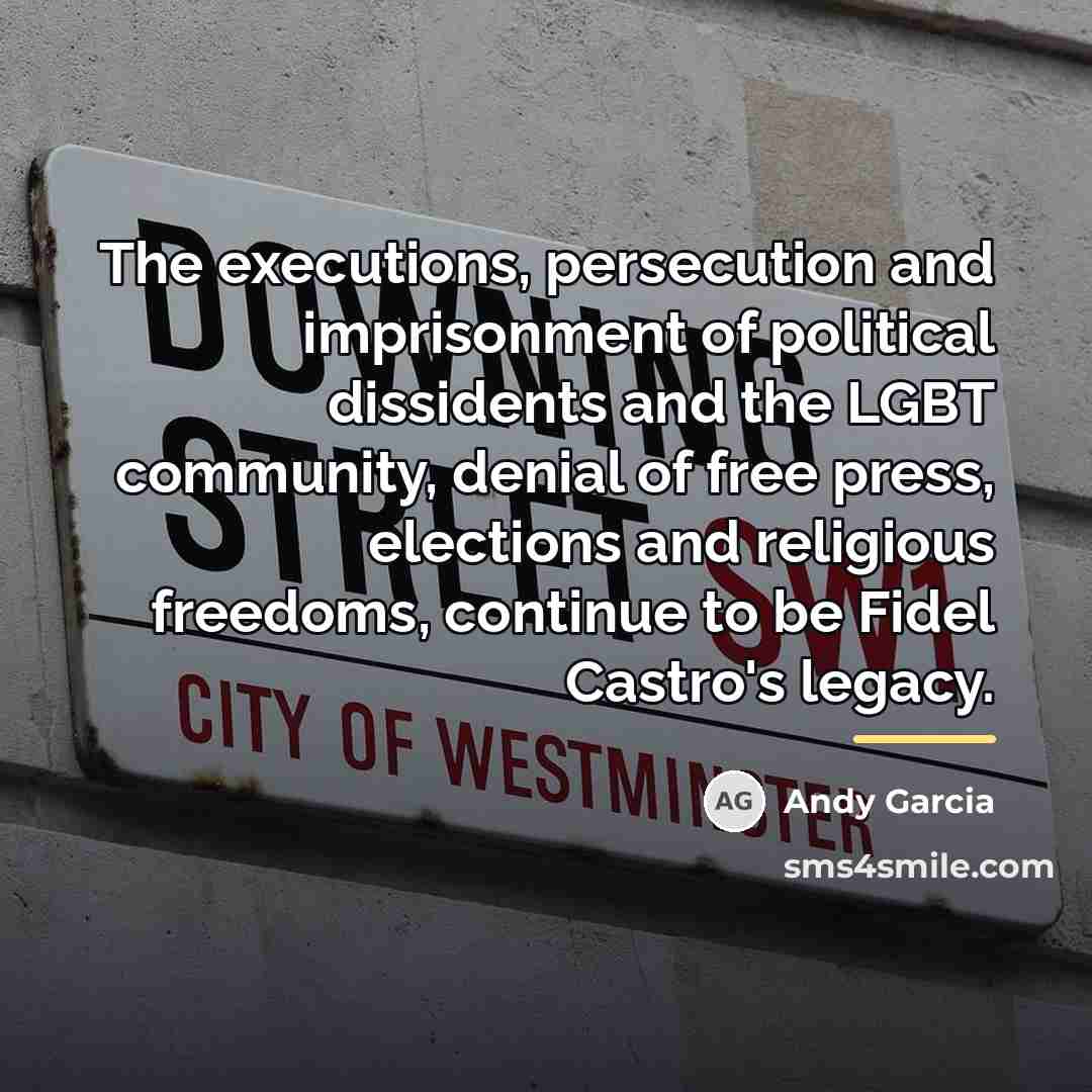 “The executions, persecution and imprisonment of political dissidents and the…” quote by Andy Garcia