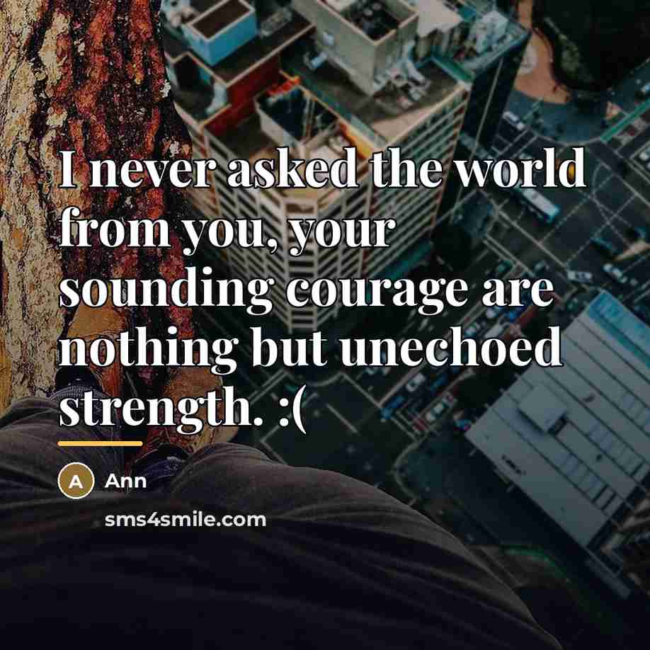 “I never asked the world from you, your sounding courage…” quote by Ann