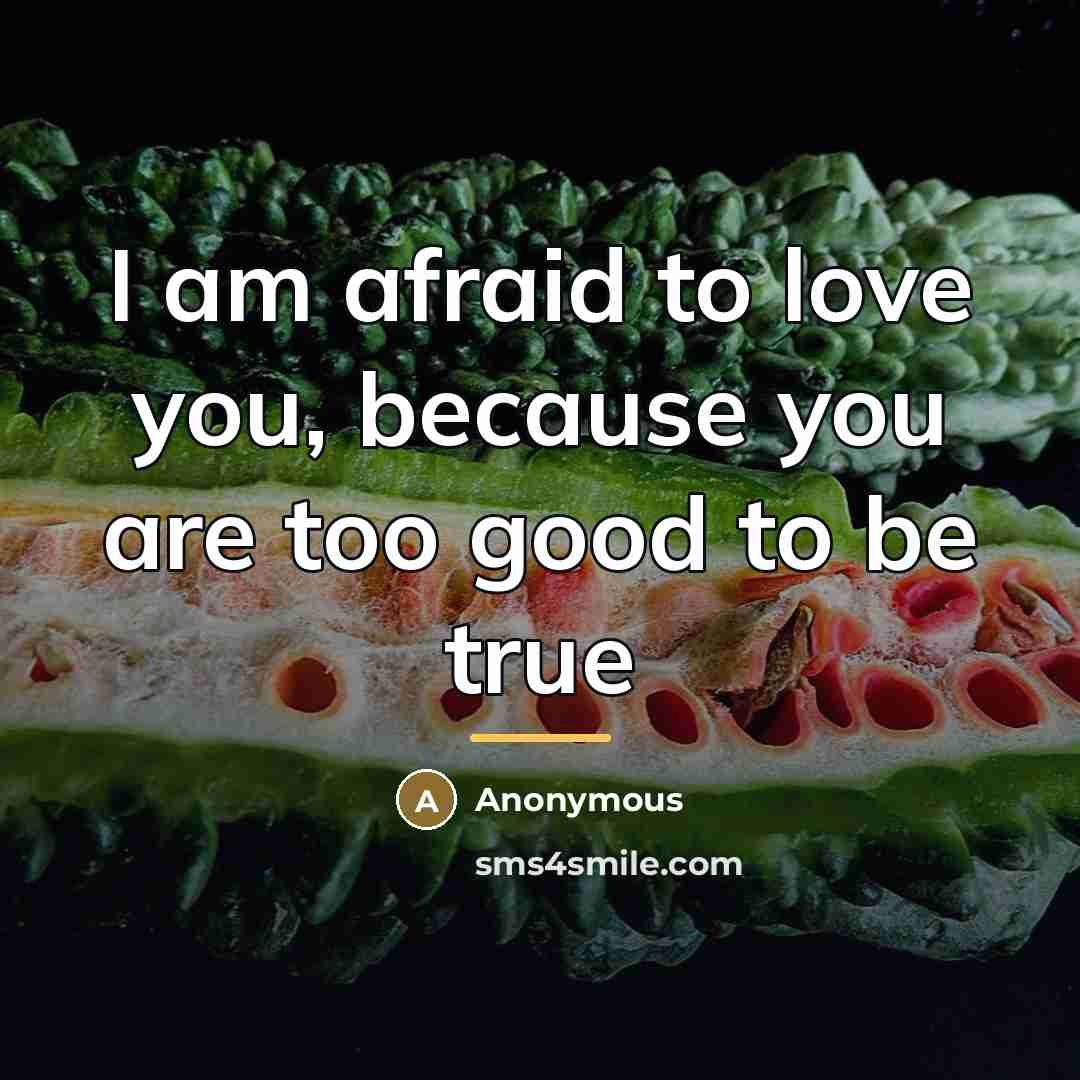 “I am afraid to love you, because you are too…” quote by Anonymous