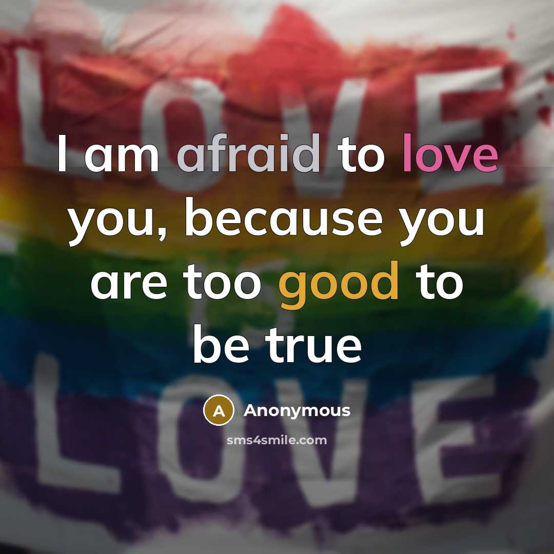 “I am afraid to love you, because you are too good to be true” quote by Anonymous