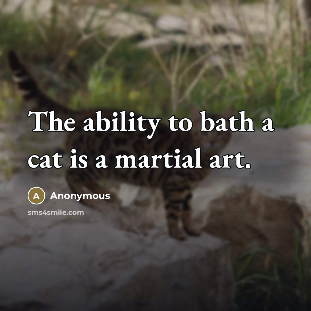 “The ability to bath a cat is a martial art.…” quote by Anonymous