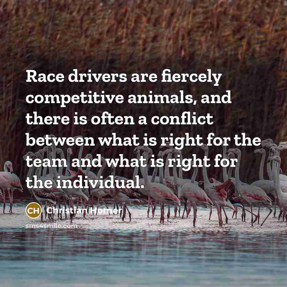 “Race drivers are fiercely competitive animals, and there is often…” quote by Christian Horner