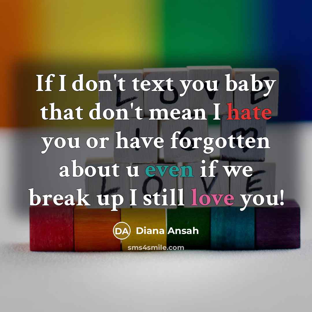 “If I don't text you baby that don't mean I…” quote by Diana Ansah