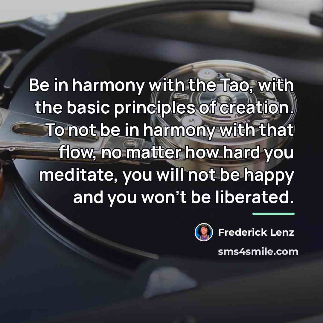 “Be in harmony with the Tao, with the basic principles…” quote by Frederick Lenz
