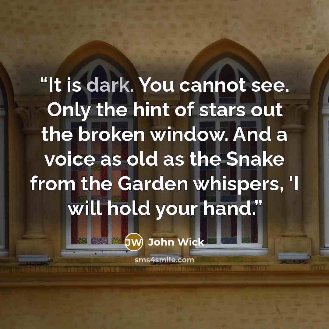 “It is dark. You cannot see. Only the hint of stars out the broken window. And a voice as old as the Snake from the Garden whispers, 'I will hold your hand.” quote by John Wick