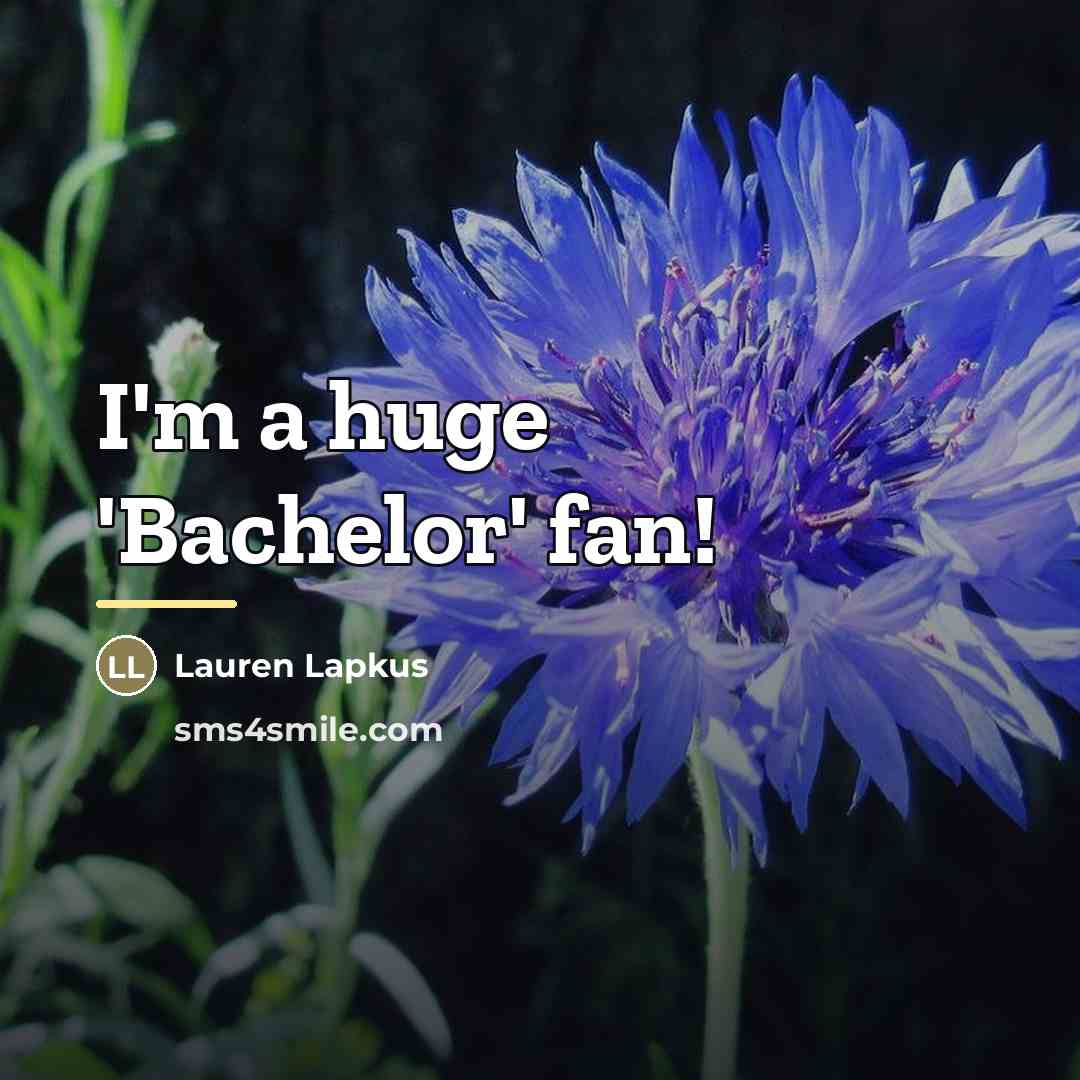 “I'm a huge 'Bachelor' fan!…” quote by Lauren Lapkus