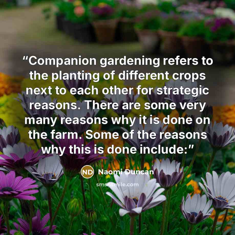 “Companion gardening refers to the planting of different crops next to each other for strategic reasons. There are some very many reasons why it is done on the farm. Some of the reasons why this is done include:” quote by Naomi Duncan