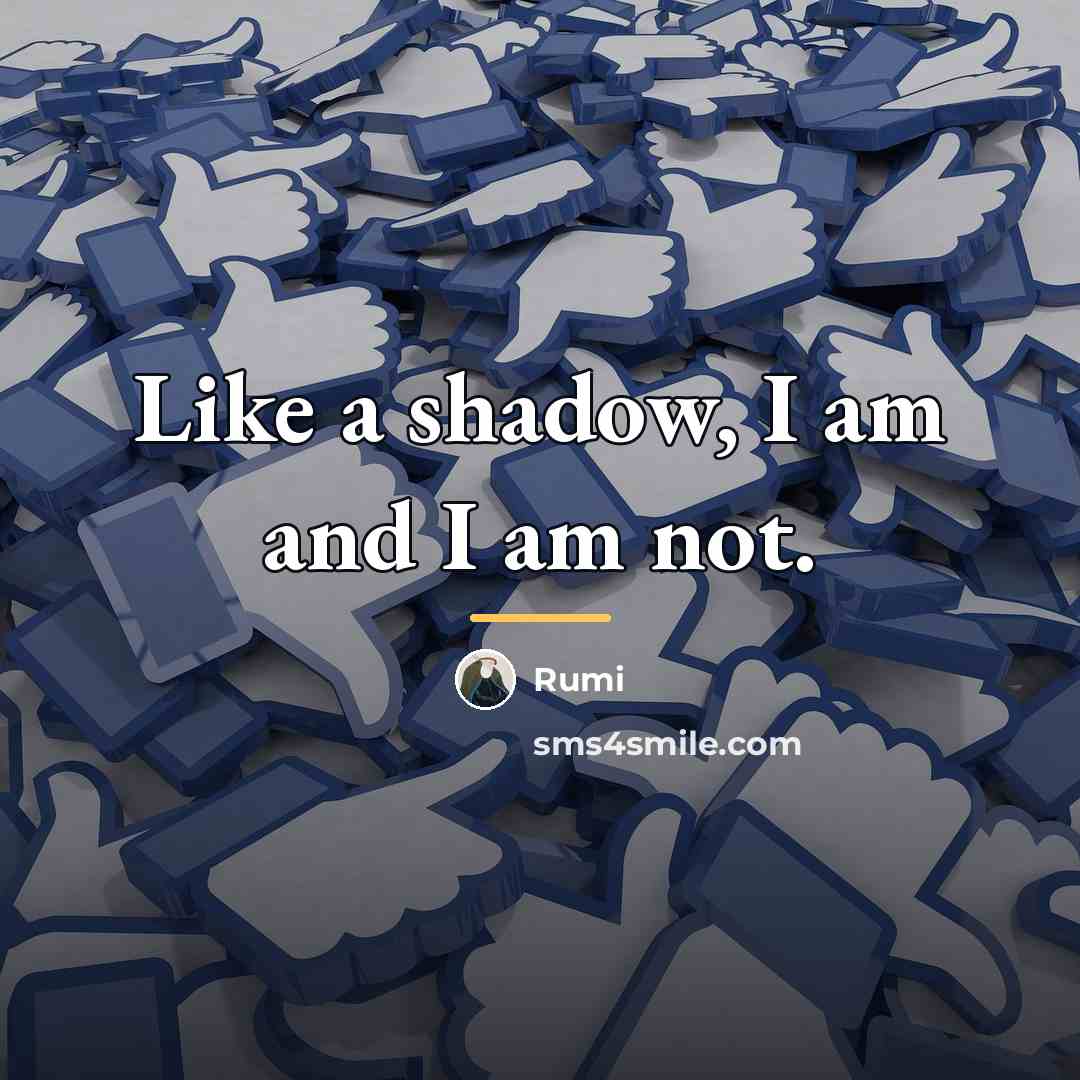 “Like a shadow, I am and I am not.…” quote by Rumi