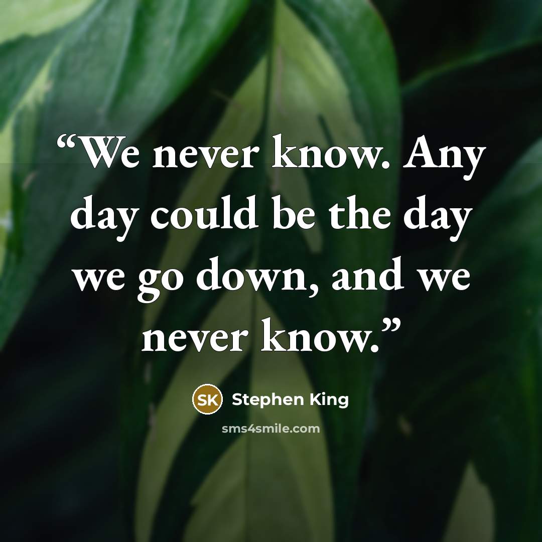 “We never know. Any day could be the day we go down, and we never know.” quote by Stephen King
