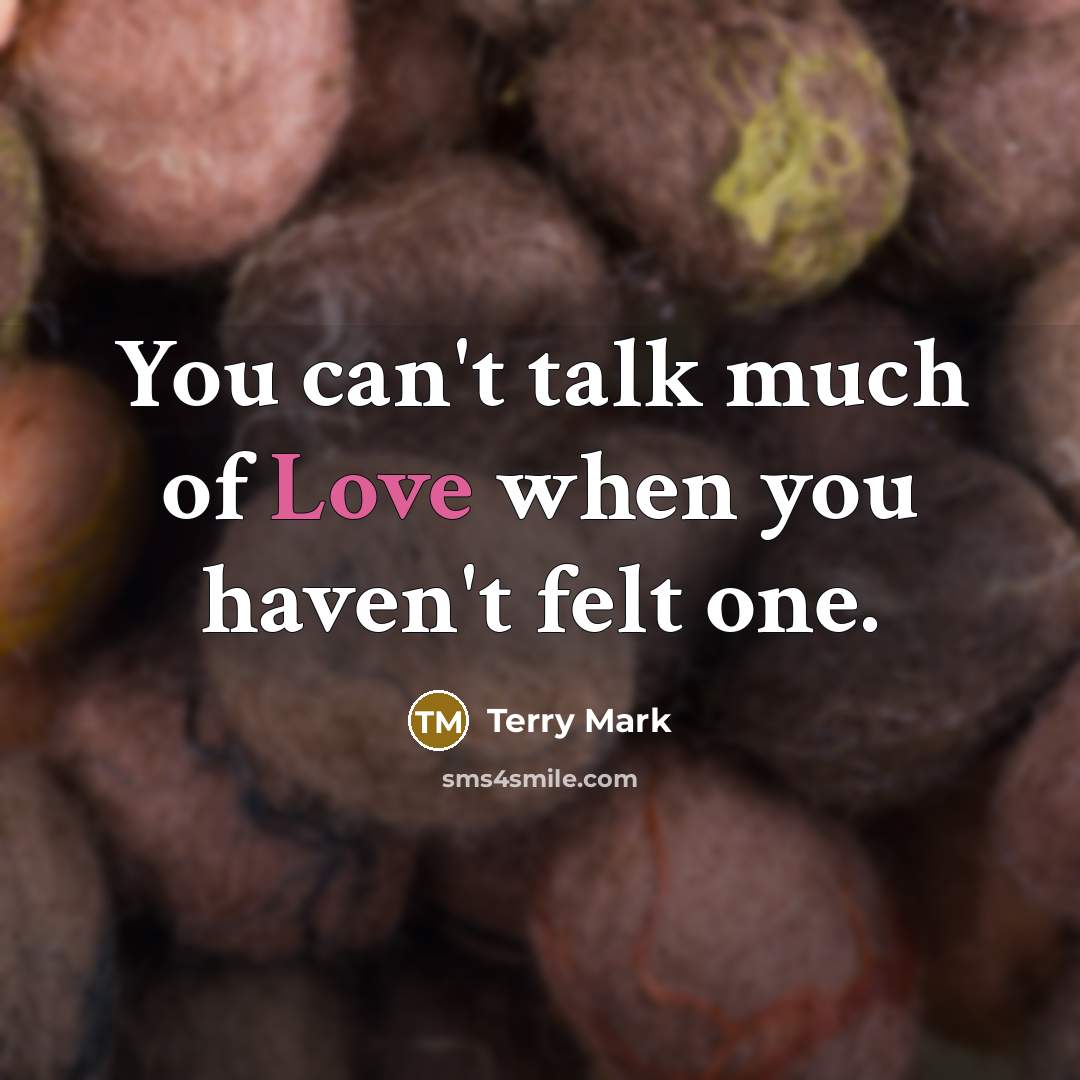 “You can't talk much of Love when you haven't felt one.” quote by Terry Mark