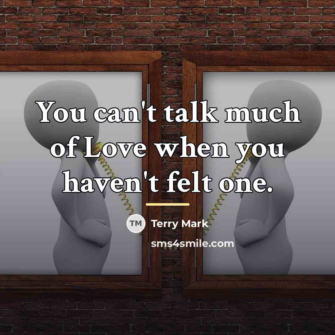 “You can't talk much of Love when you haven't felt…” quote by Terry Mark