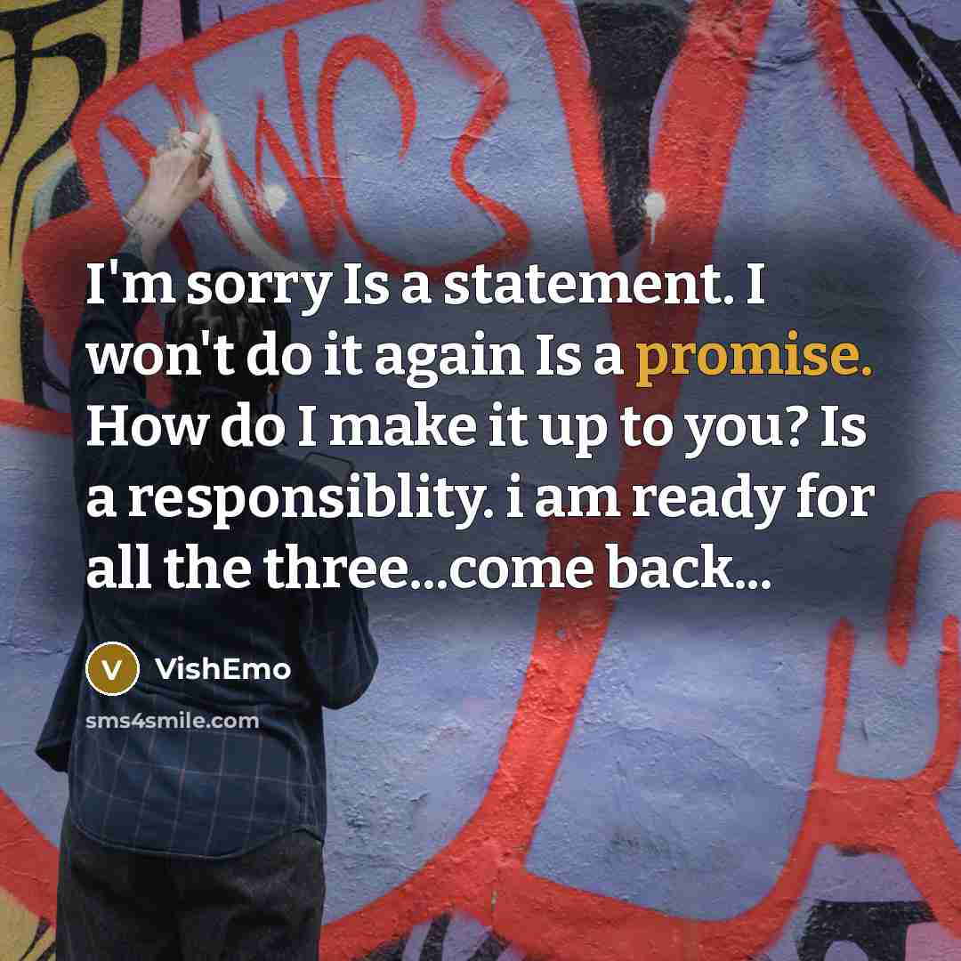 “I'm sorry Is a statement. I won't do it again…” quote by VishEmo