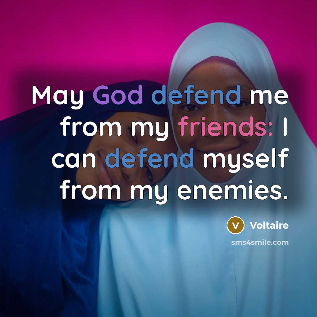 “May God defend me from my friends: I can defend myself from my enemies.” quote by Voltaire