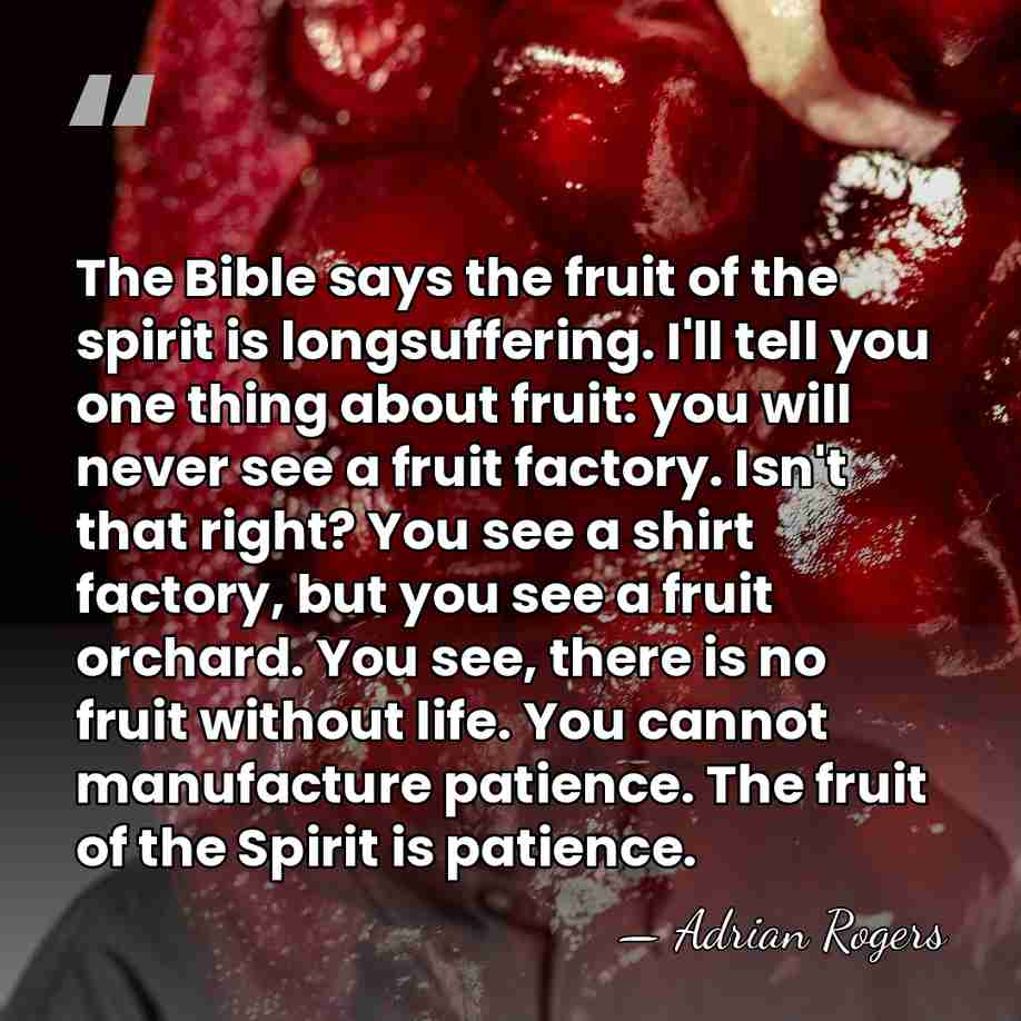 The Bible says the fruit of the spirit is longsuffering. I'll tell&hellip; - Adrian Rogers