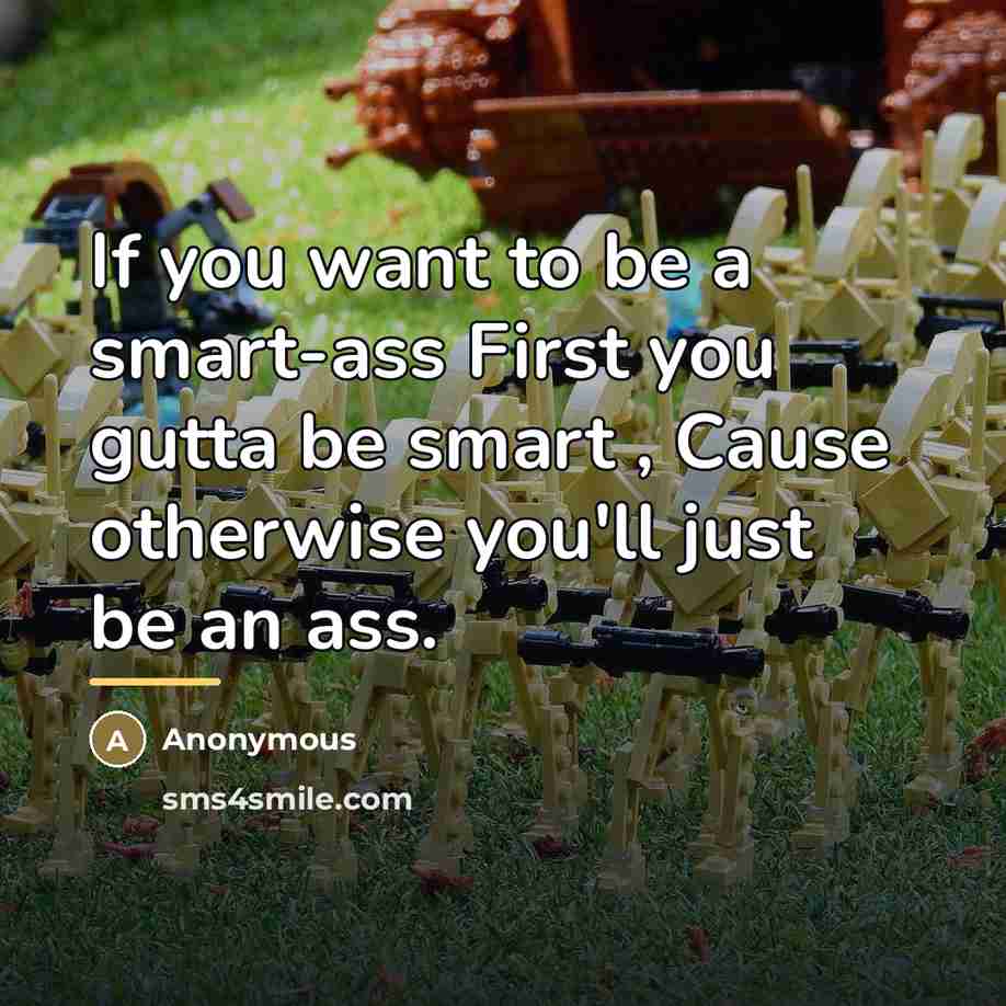 “If you want to be a smart-ass First you gutta…” quote by Anonymous