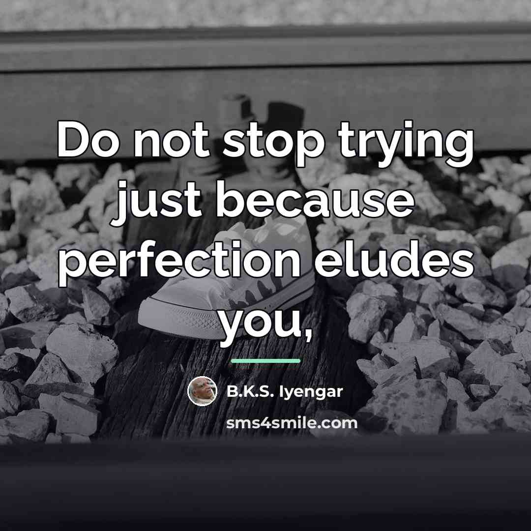 “Do not stop trying just because perfection eludes you,…” quote by B.K.S. Iyengar