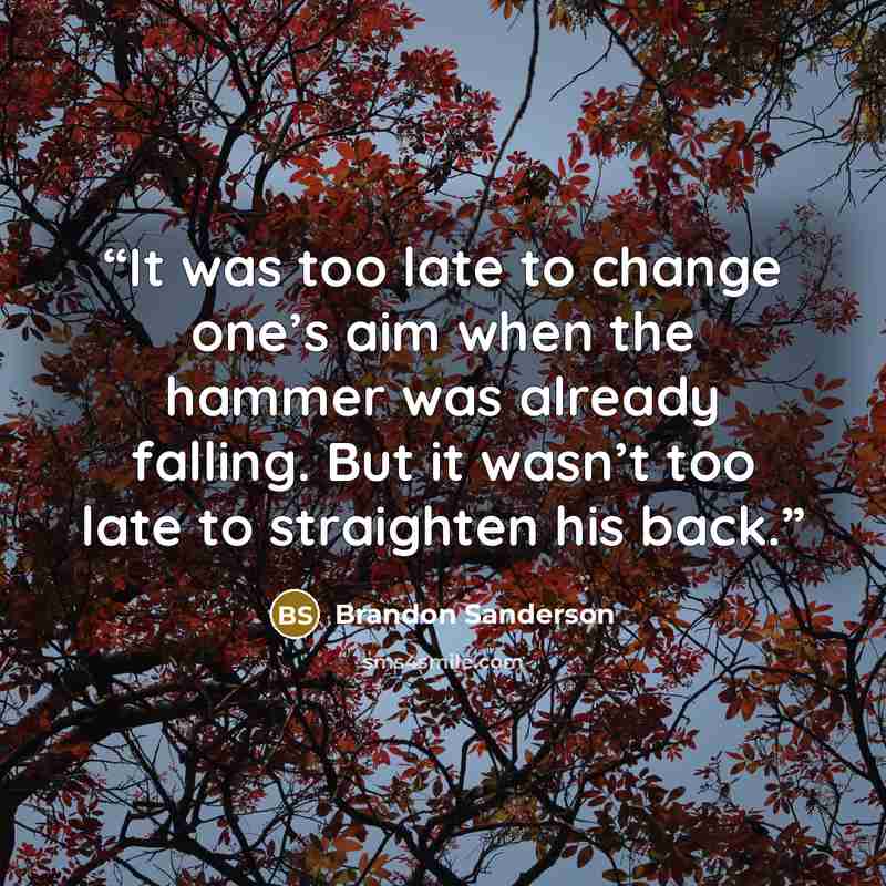 “It was too late to change one’s aim when the hammer was already falling. But it wasn’t too late to straighten his back.” quote by Brandon Sanderson