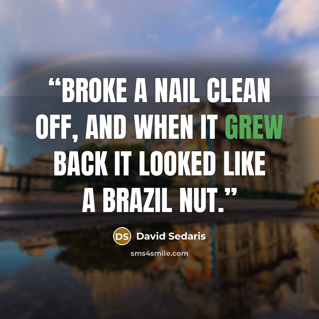 “Broke a nail clean off, and when it grew back it looked like a Brazil nut.” quote by David Sedaris