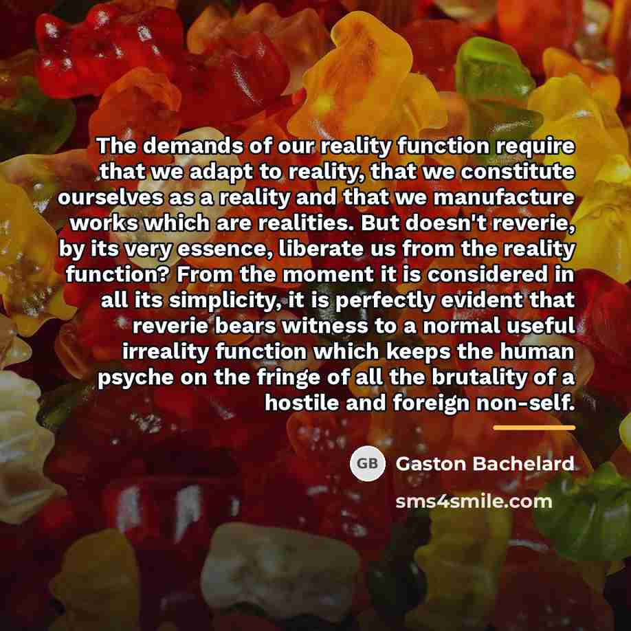 “The demands of our reality function require that we adapt…” quote by Gaston Bachelard