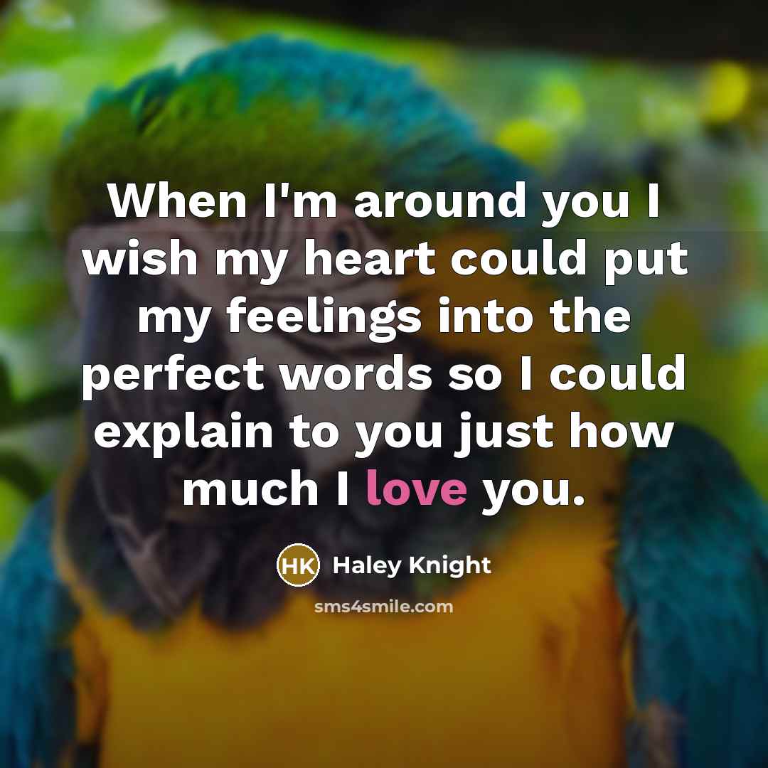 “When I'm around you I wish my heart could put…” quote by Haley Knight