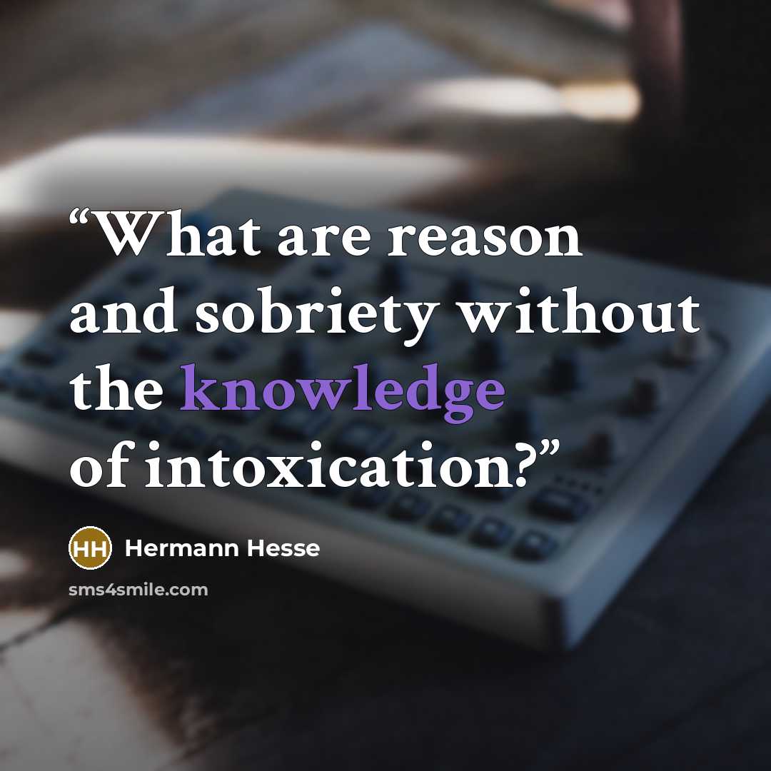“What are reason and sobriety without the knowledge of intoxication?” quote by Hermann Hesse