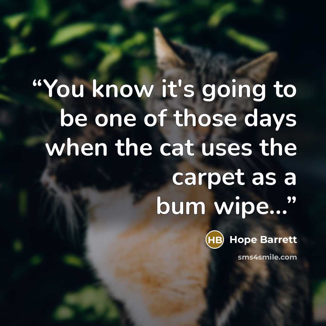 “You know it's going to be one of those days when the cat uses the carpet as a bum wipe…” quote by Hope Barrett