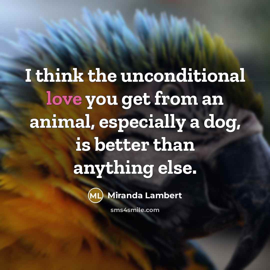 “I think the unconditional love you get from an animal,…” quote by Miranda Lambert
