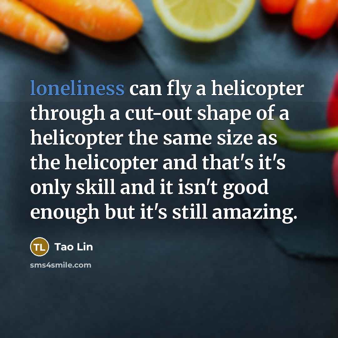 “loneliness can fly a helicopter through a cut-out shape of…” quote by Tao Lin