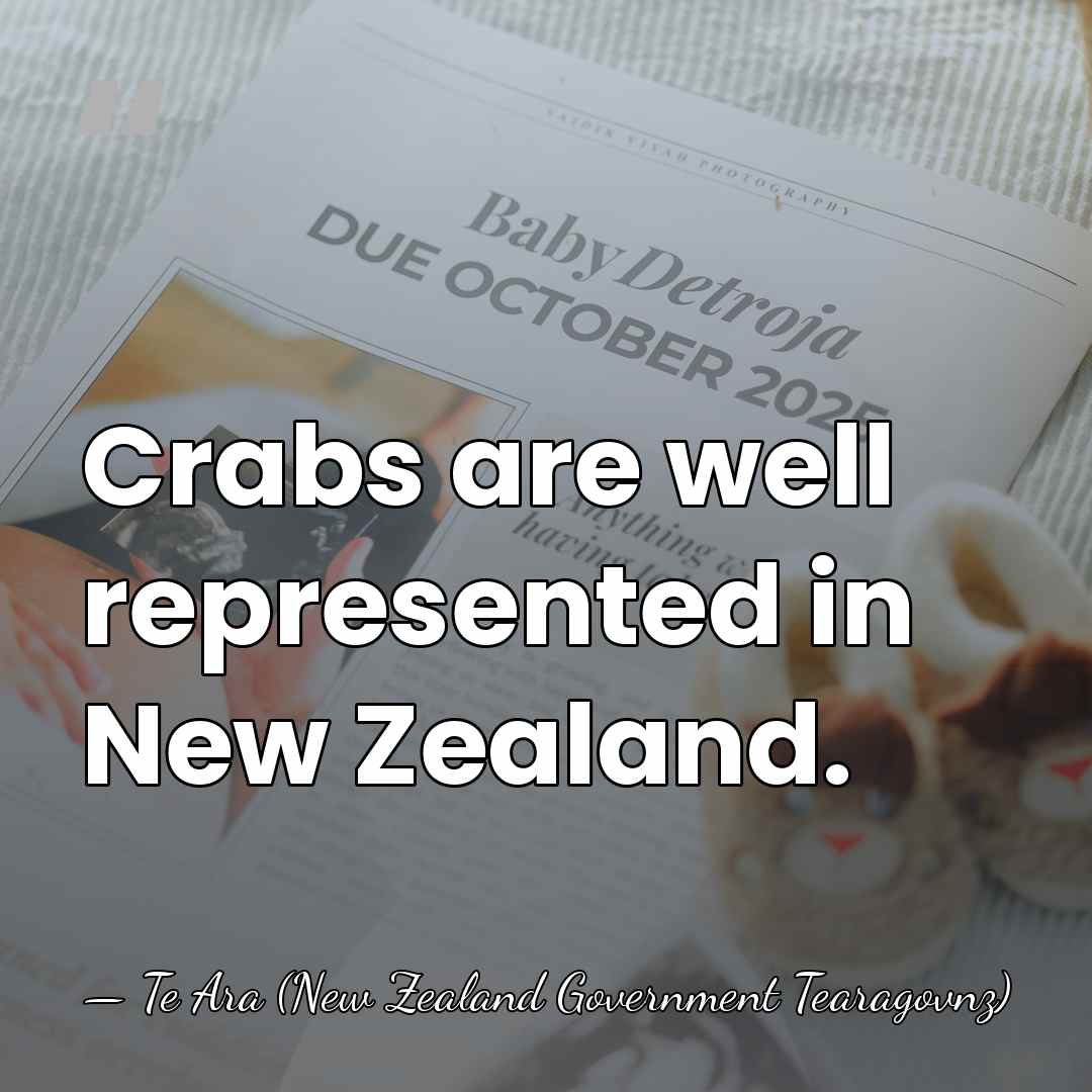 Crabs are well represented in New Zealand. - Te Ara (New Zealand Government Tearagovnz)