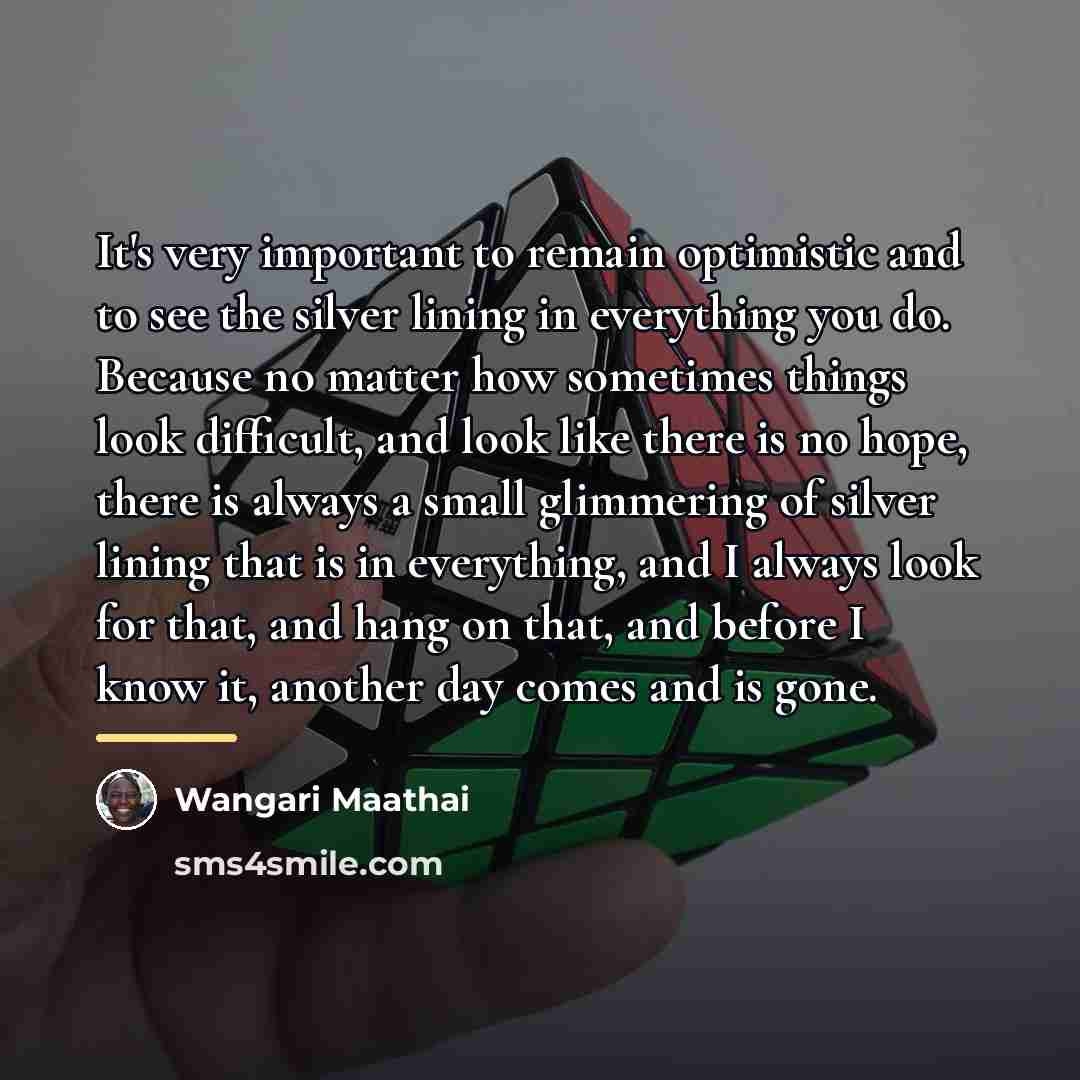“It's very important to remain optimistic and to see the…” quote by Wangari Maathai
