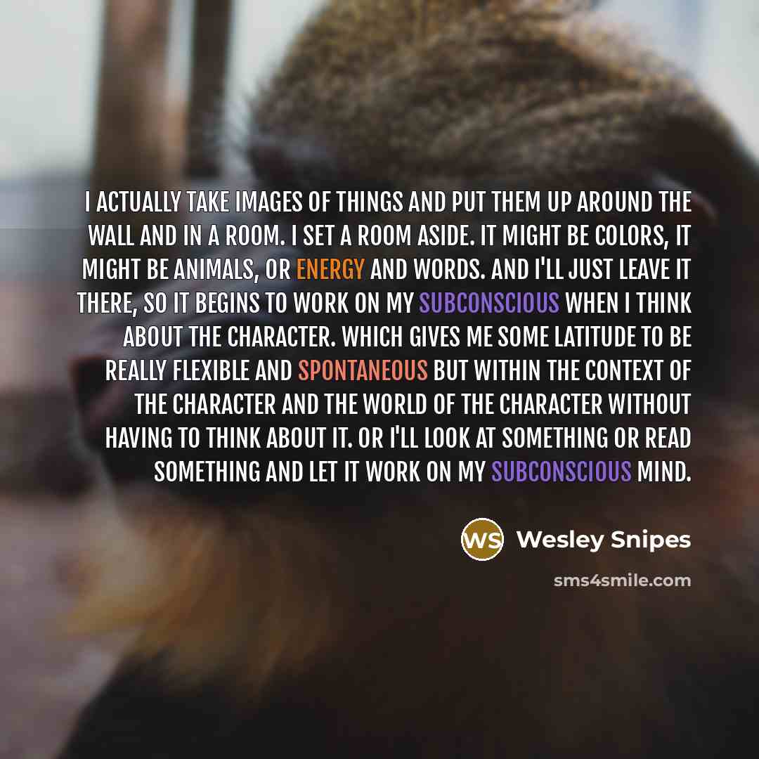 “I actually take images of things and put them up…” quote by Wesley Snipes