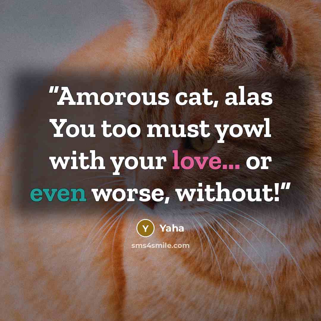 “Amorous cat, alas You too must yowl with your love... or even worse, without!” quote by Yaha