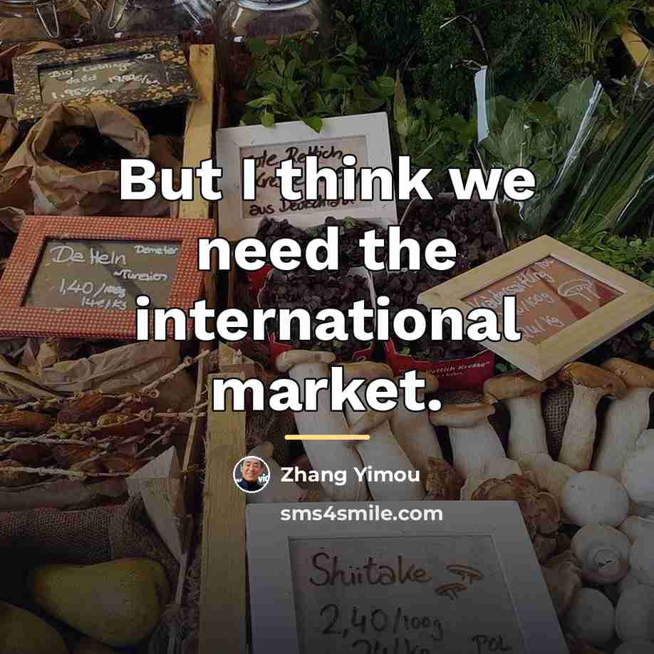 “But I think we need the international market.…” quote by Zhang Yimou