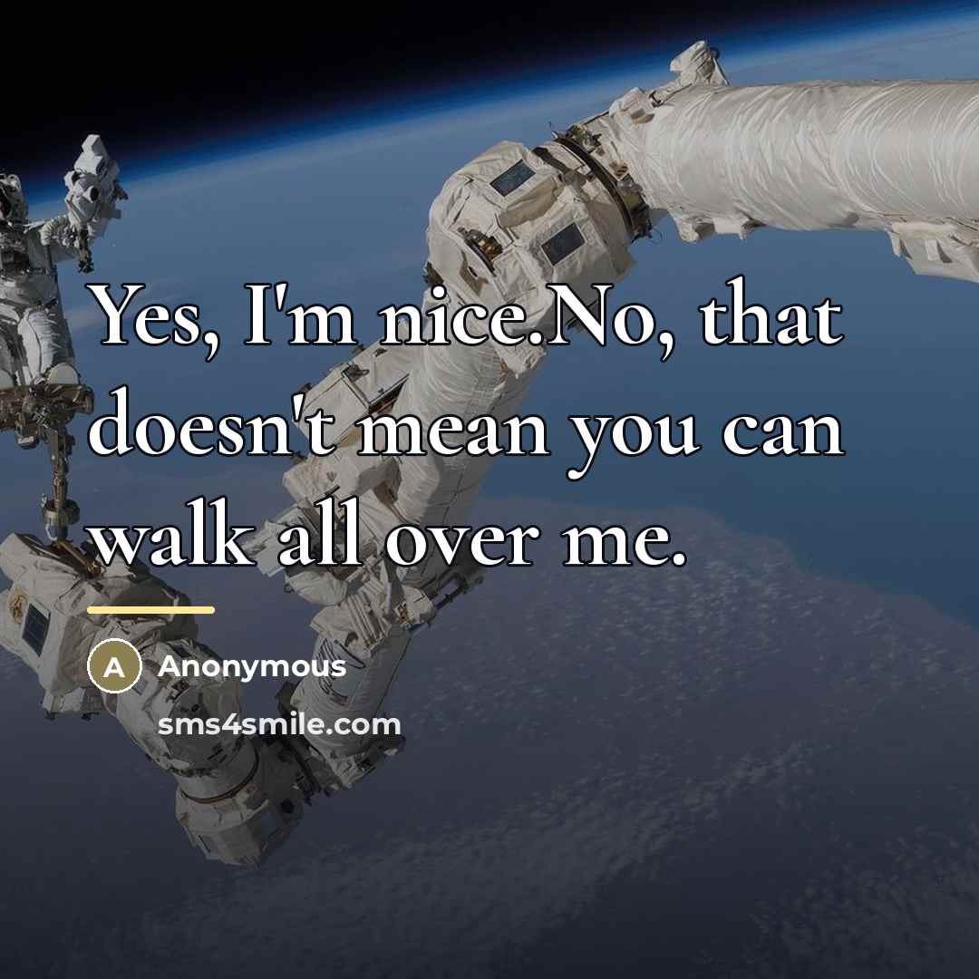 “Yes, I'm nice.No, that doesn't mean you can walk all…” quote by Anonymous