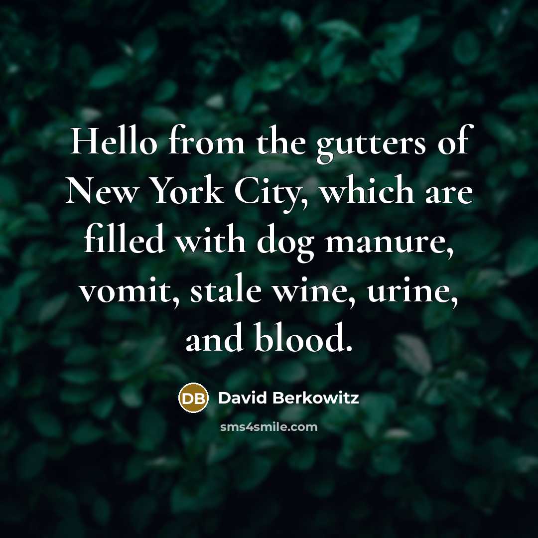 “Hello from the gutters of New York City, which are…” quote by David Berkowitz