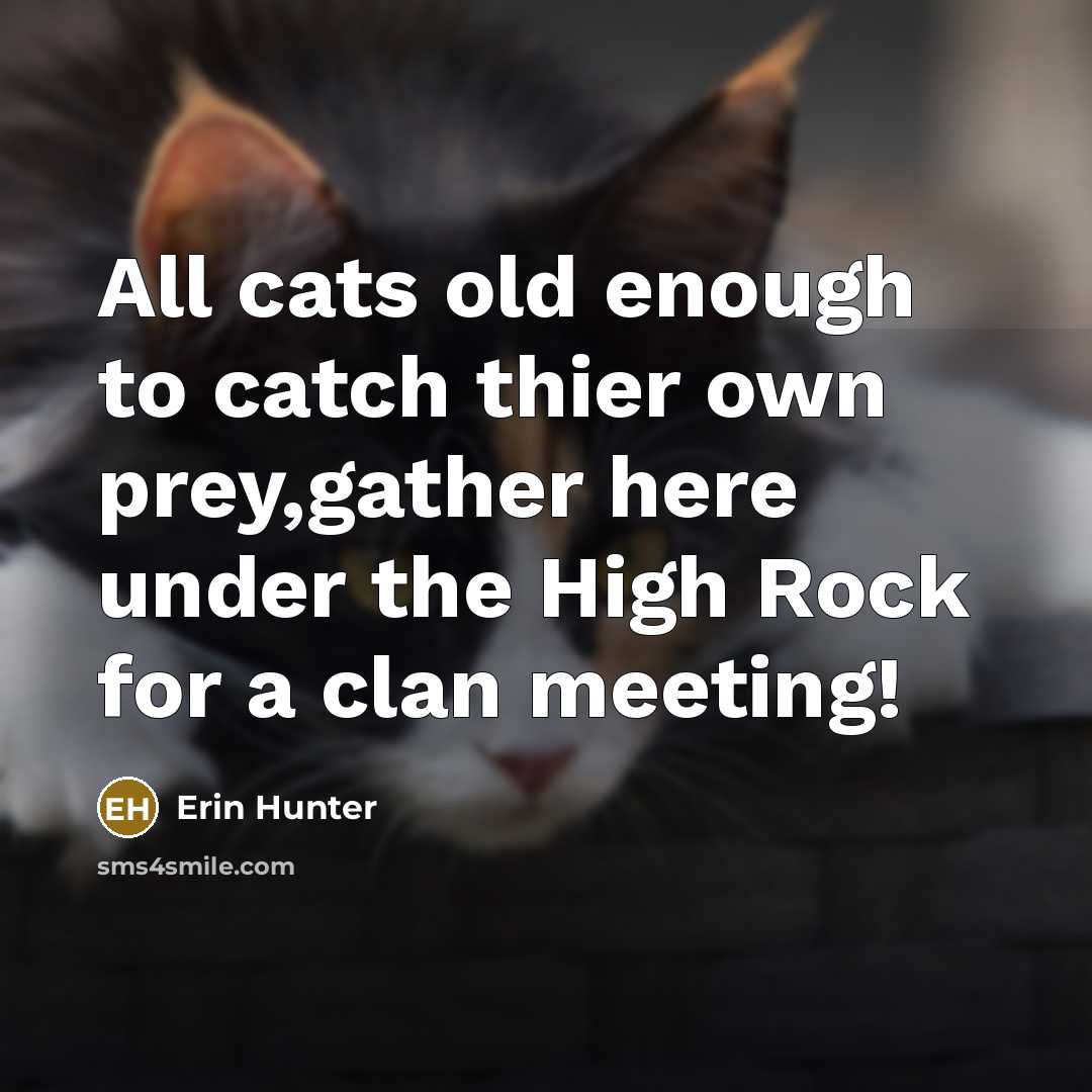 “All cats old enough to catch thier own prey,gather here…” quote by Erin Hunter