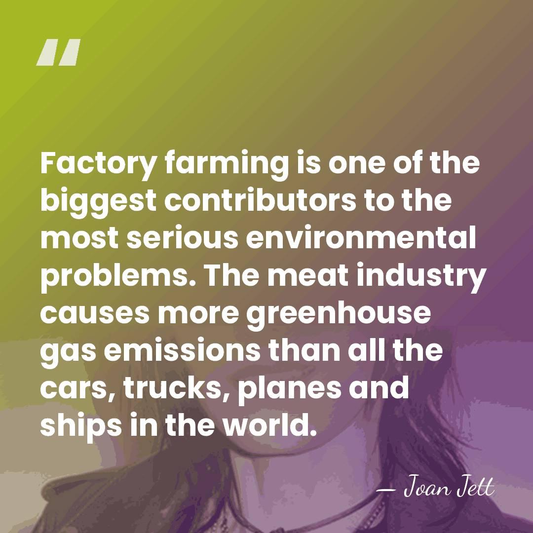 Factory farming is one of the biggest contributors to the most serious&hellip; - Joan Jett